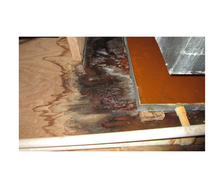Meridian Restoration technician on a Long Island job site