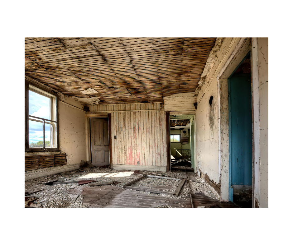 Mold remediation